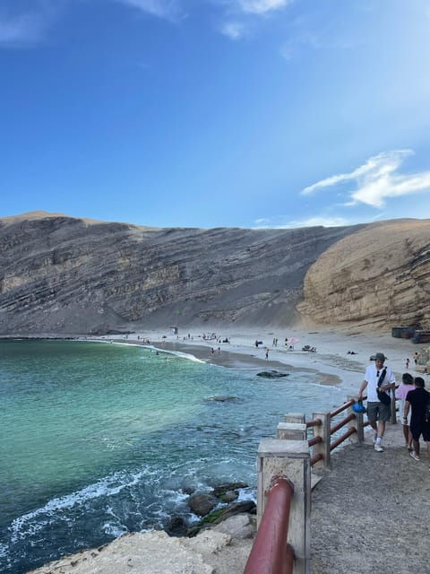 from-lima-full-day-paracas-ica-2