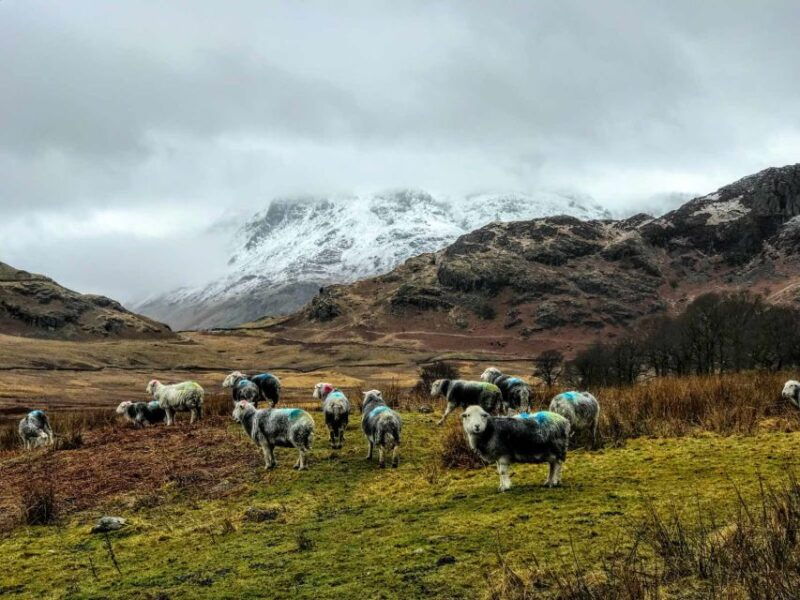 from-liverpool-lake-district-sightseeing-adventure-day-trip