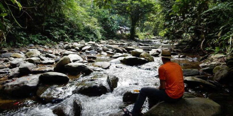 from-medan-4-day-tour-to-bukit-lawang-incl-jungle-trek