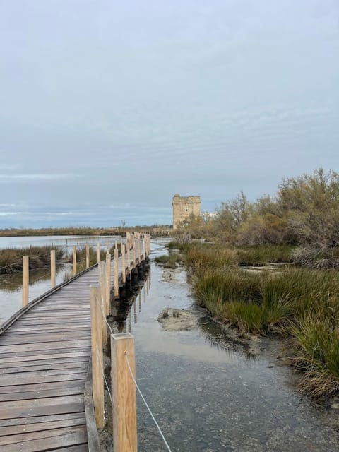 from-montpellier-camargue-and-salt-marshes-guided-tour
