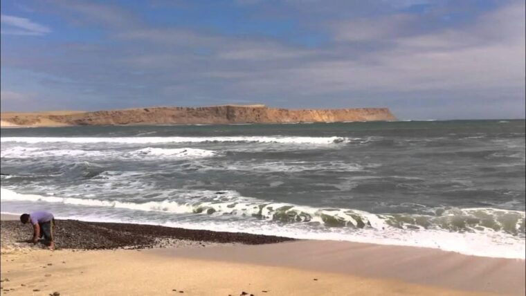 from-paracas-ballestas-islands-and-paracas-national-reserve-3