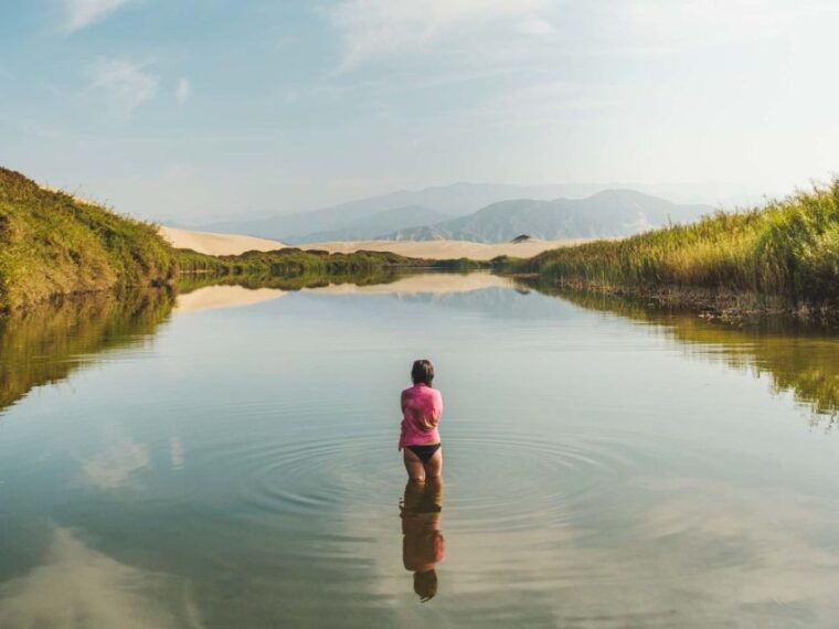 from-paracas-mini-buggy-tour-sandboarding-at-oasis