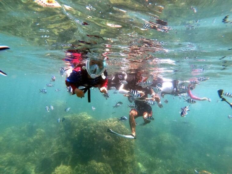 from-phi-phi-6-hrs-private-phi-phi-islands-boat-tour