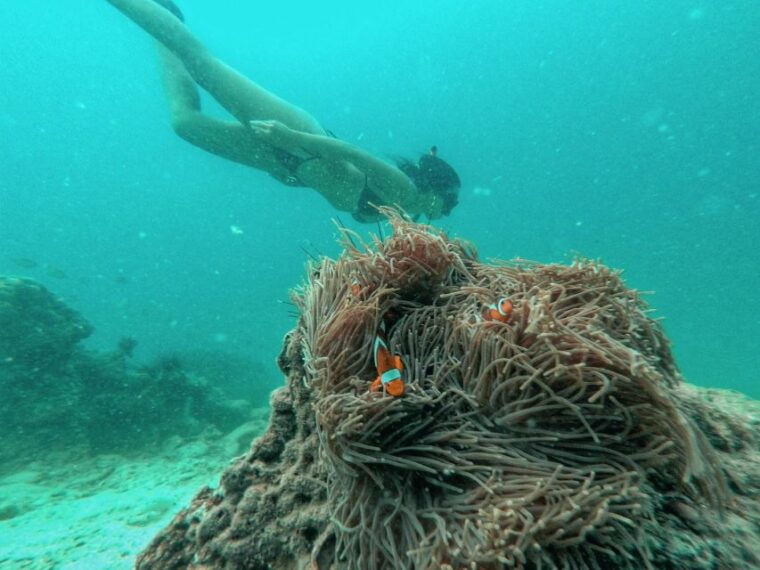from-phuket-coral-island-private-longtail-boat-tour