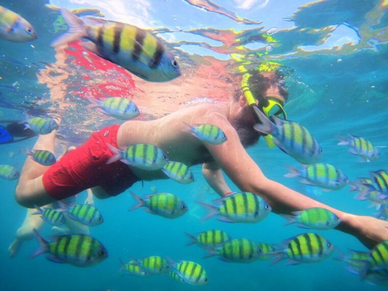 from-phuket-phi-phi-and-maya-bay-snorkeling-by-speedboat