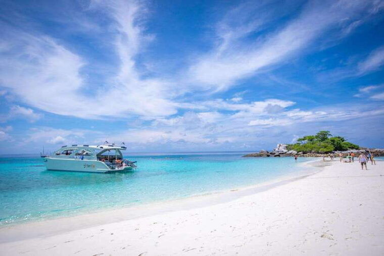 from-phuket-racha-maiton-island-dolphin-expedition