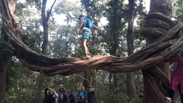 from-pokhara-3-day-2-night-wildlife-chitwan-tour-package