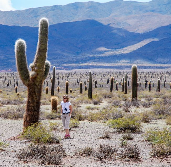 from-salta-full-day-scenic-tour-to-cachi