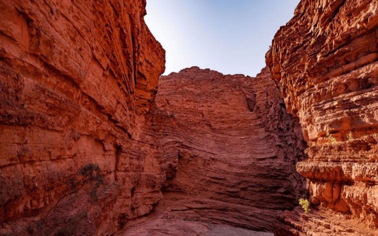 from-salta-full-day-tours-of-cafayate-and-salinas-grandes