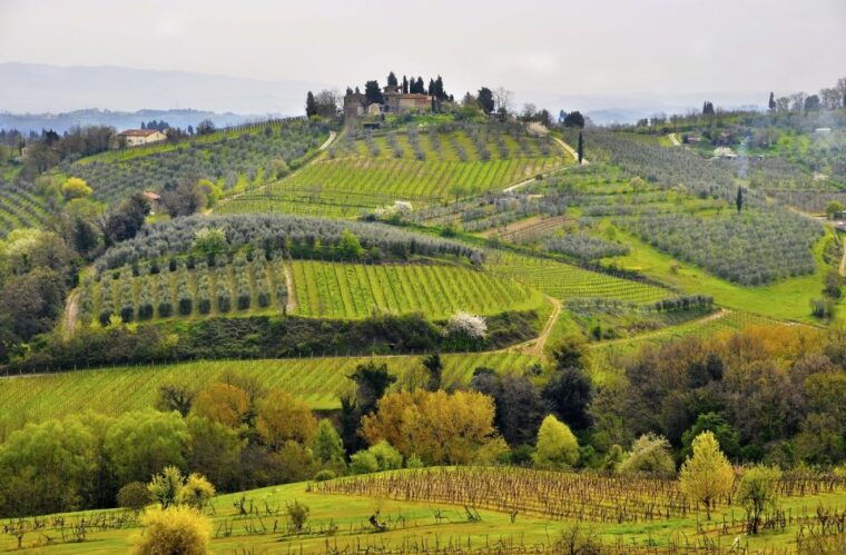 from-siena-chianti-dinner-drinks-in-the-chianti-vineyards