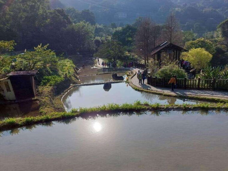 from-taipei-pinglin-tea-culture-and-maokong-guided-day-tour