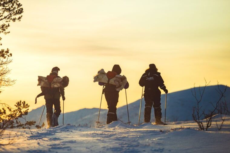 from-tromso-guided-husky-snowshoe-hike-and-husky-camp-visit
