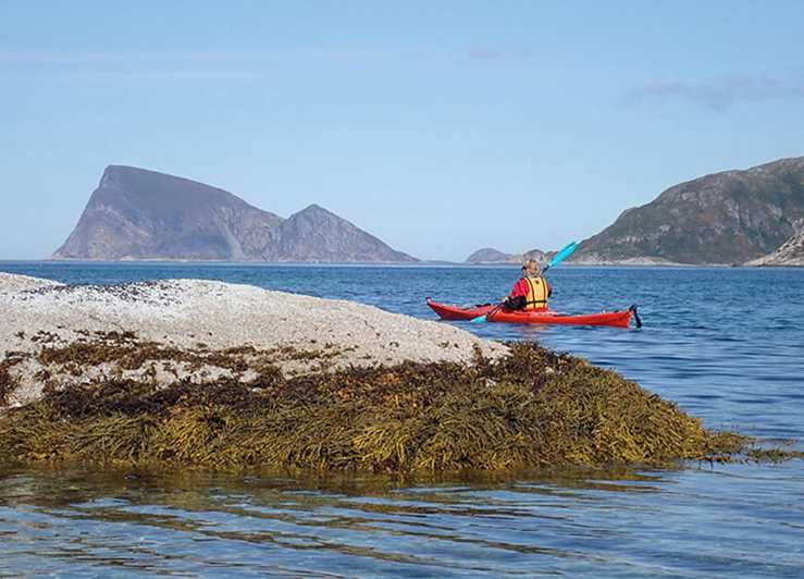 from-tromso-sea-kayaking-tour-at-sommaroy-with-transfer