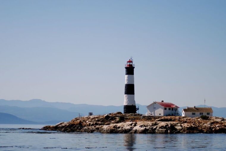 from-victoria-whale-watching-marine-wildlife-excursion