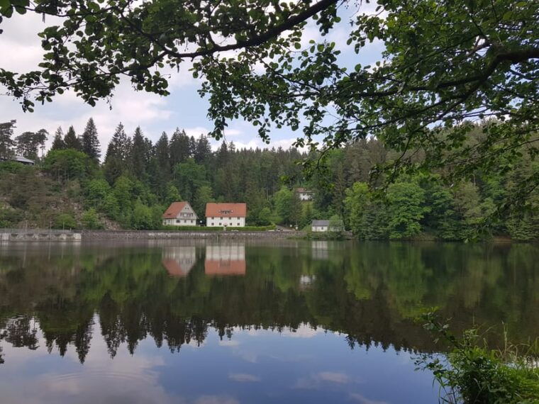 from-viechtach-regen-river-canoe-tour-to-hollenstein-lake