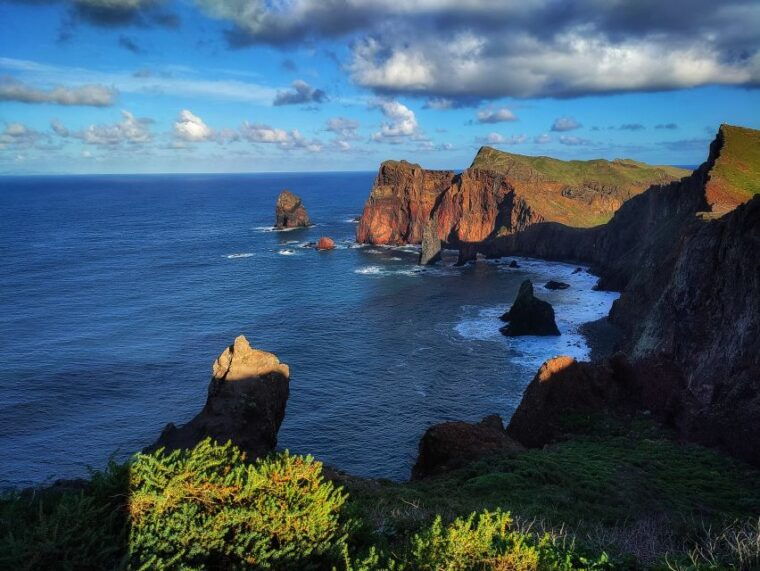 funchal-east-madeira-island-guided-tour-laurissilva-walk