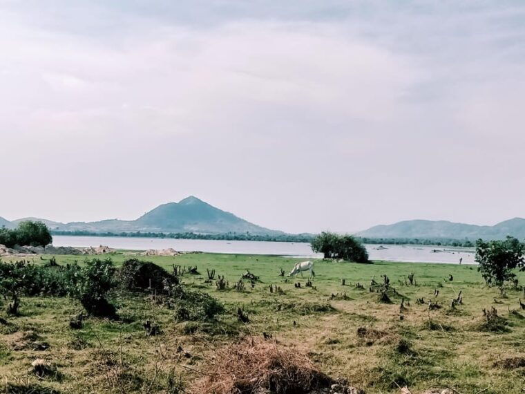 half-day-tour-with-countryside-include-pepper-farm