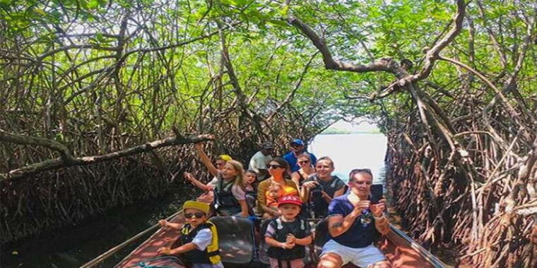 hambantota-galle-bentota-coastal-day-tour