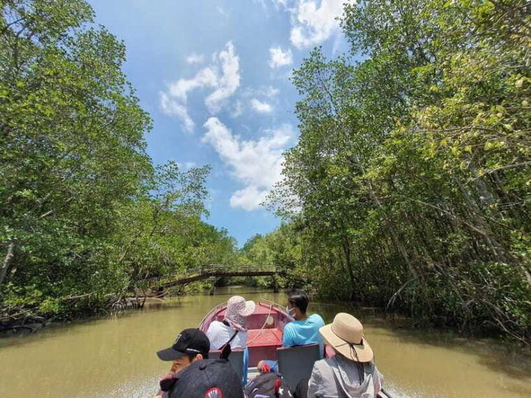 ho-chi-minh-city-can-gio-monkey-island-day-trip-with-lunch-3