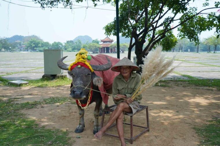 hoa-lu-tam-coc-biking-with-buffet-lunch