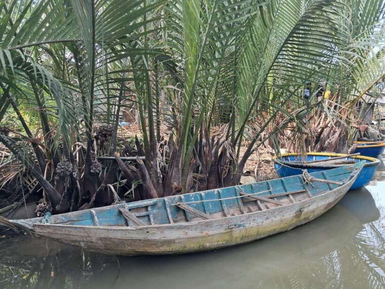 hoi-an-my-son-sanctuary-with-basket-boat-and-lunch-options