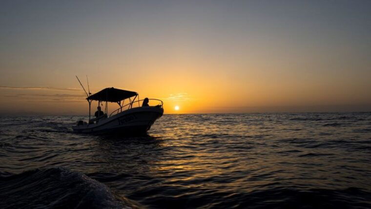 huatulco-awakening-with-stars-dolphins-boat-cruise