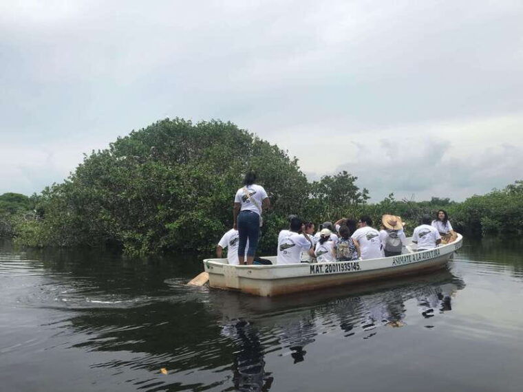huatulco-ecotour-with-crocodiles-migrating-birds