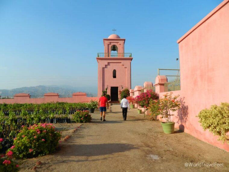 ica-pisco-and-wine-tour-with-a-trip-to-the-desert