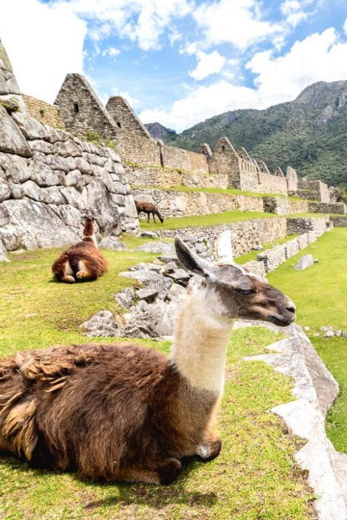 inca-trail-to-machu-picchu-4-days-2