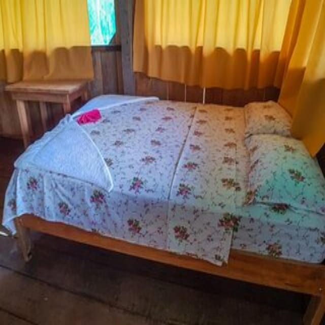 iquitos-3-day-jungle-wildlife-adventure-with-accommodation