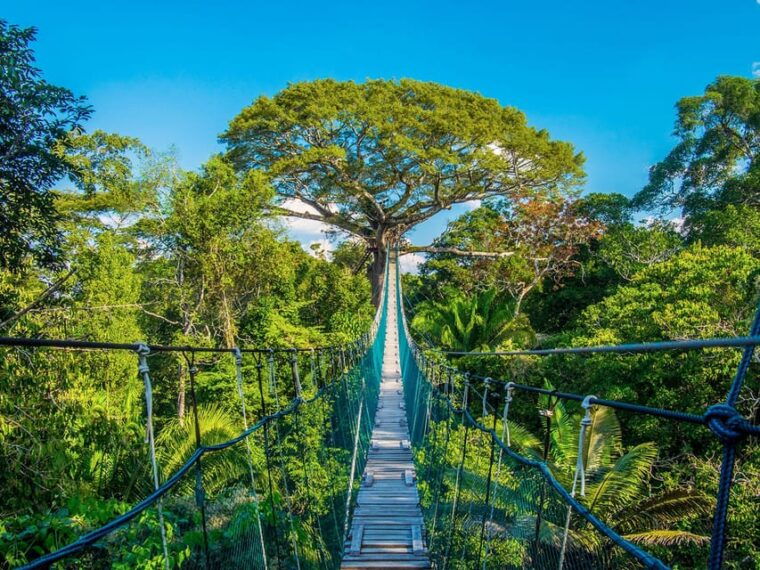iquitos-amazon-jungle-4d-3n-journey-on-the-rainforest