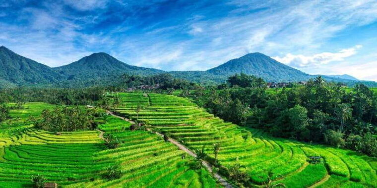 jatiluwih-unesco-site-2-hour-e-bike-cycling-tour