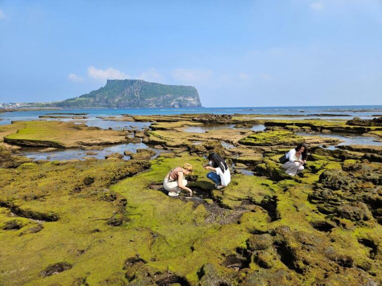 jeju-island-explore-unesco-world-heritage-sites-by-bus