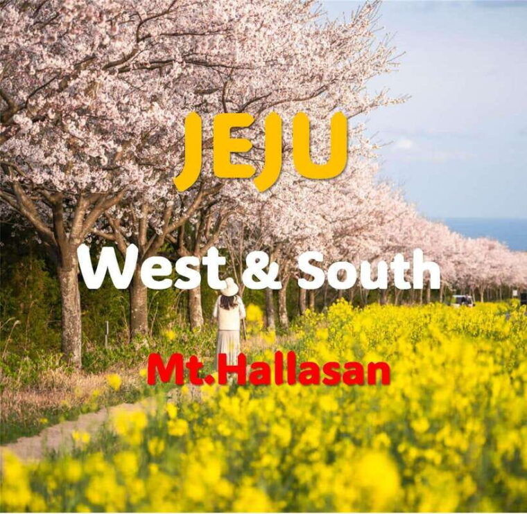 jeju-western-and-southern-sightseeing-day-tour