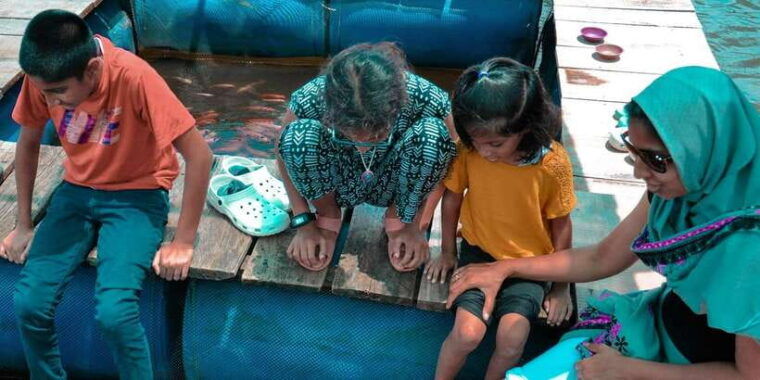 kalutara-turtle-hatchery-visit-boat-safari-and-galle-tour