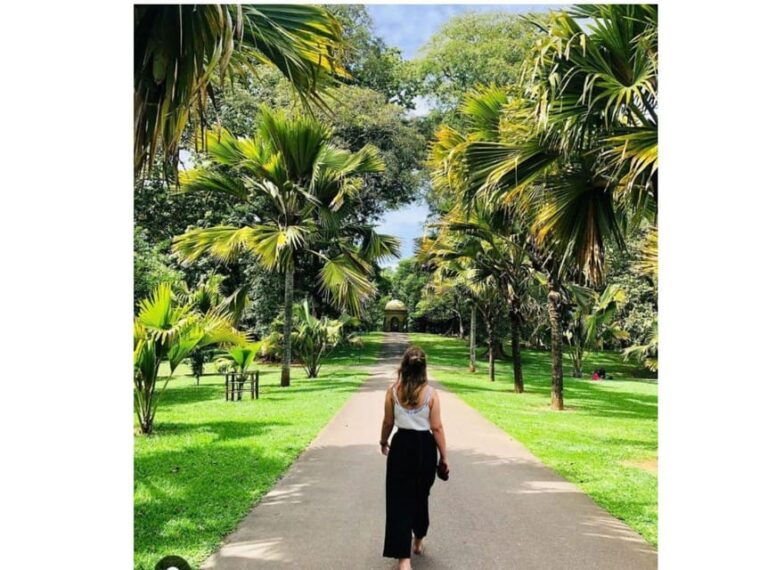 kandy-city-ambuluwawa-day-tour