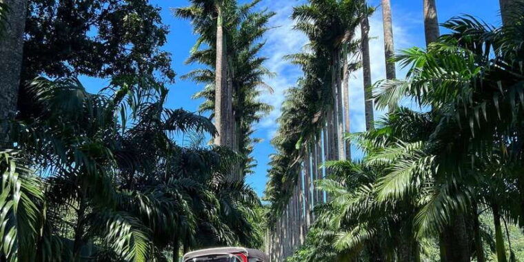 kandy-privet-day-tour-with-pinnawala-and-tea-plantation