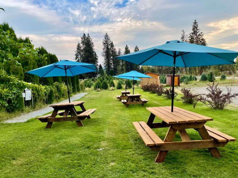 kelowna-e-bike-guided-wine-tour-with-lunch-tastings
