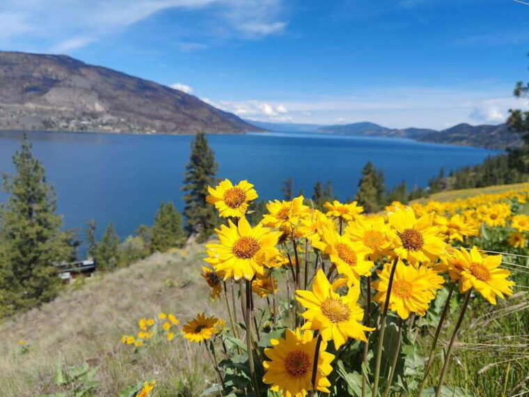 kelowna-e-bike-rental-with-in-app-navigation-guide