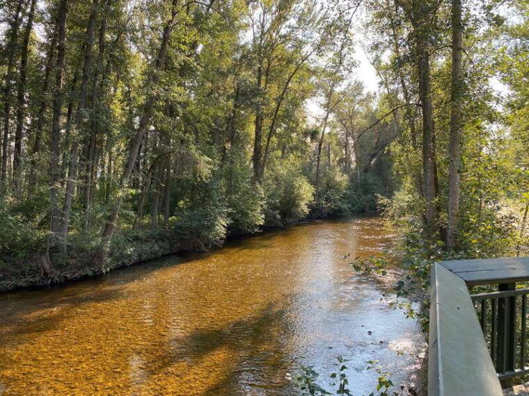 kelowna-mission-creek-salmon-run-audio-tour-by-e-bike