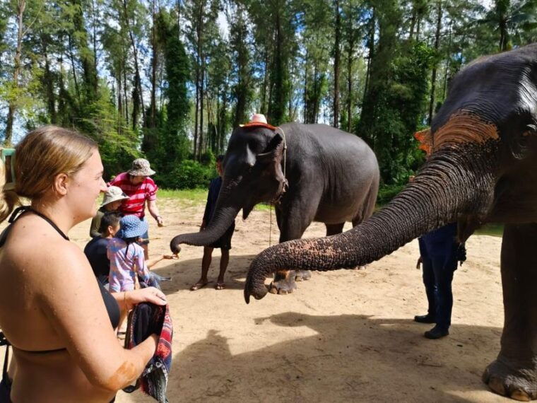 khao-lak-elephant-sanctuary-guided-tour