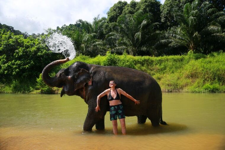 khao-lak-khao-sok-national-park-overnight-treehouse-trip