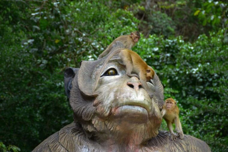 khao-lak-khao-sok-private-elephant-daycare-bamboo-rafting