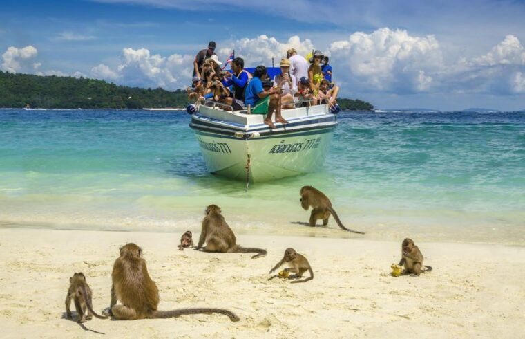 khao-lak-phi-phi-island-maya-beach-and-snorkeling-day-trip