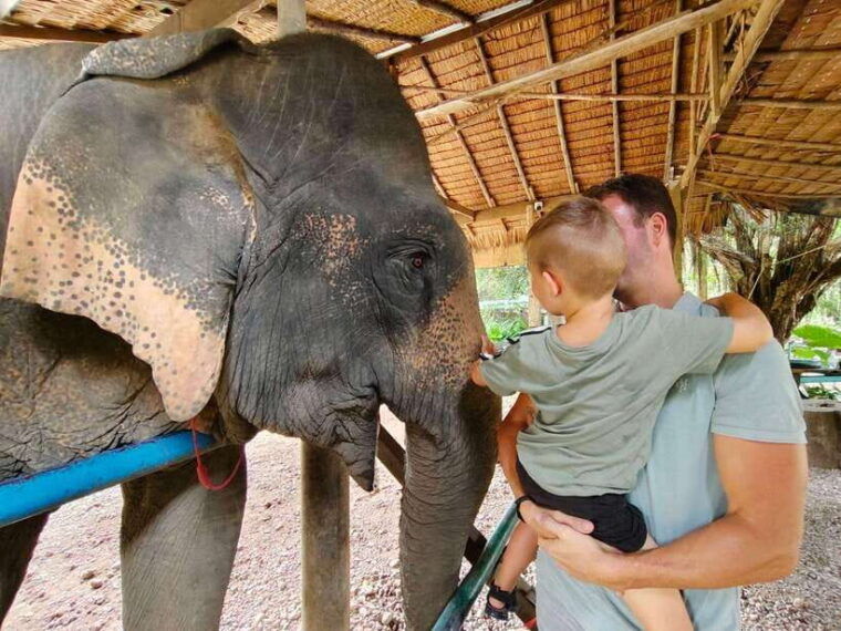 khao-sok-elephant-day-care-bamboo-rafting-day-tour