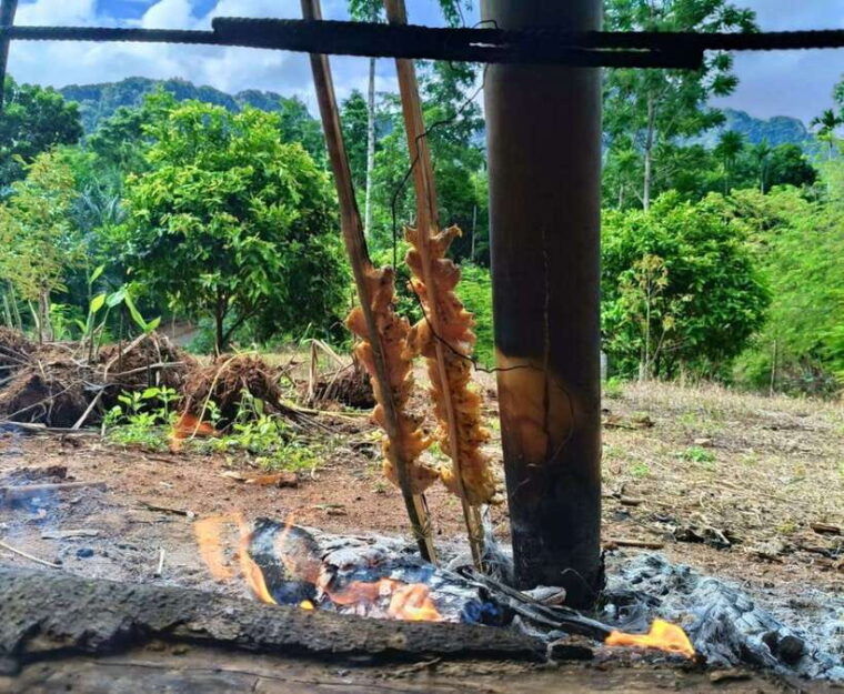 khao-sok-private-authentic-jungle-cooking-experience