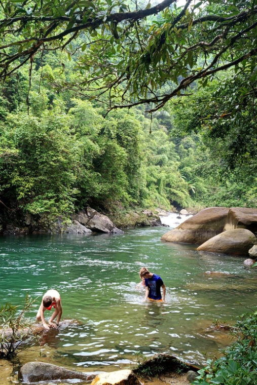 khao-sok-private-day-trekking-jungle-dinner-night-safari