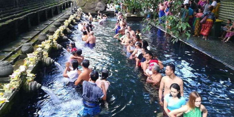 kintamani-full-day-tour-tegalalang-rice-field-goa-gajah