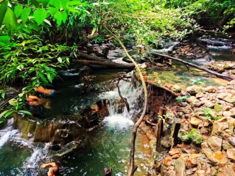 ko-lanta-full-day-emerald-poolhot-spring-with-tiger-temple