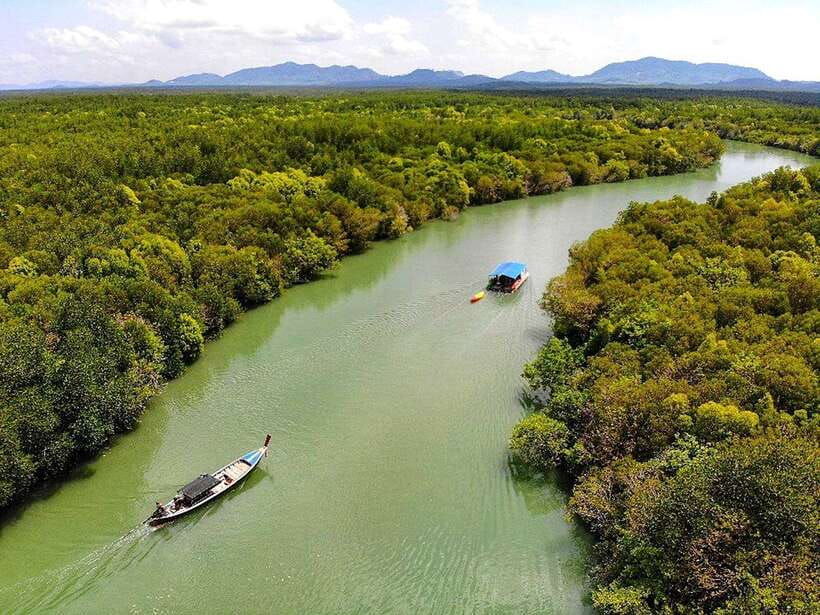 ko-lanta-half-day-mangrove-boat-trip-with-local-guide